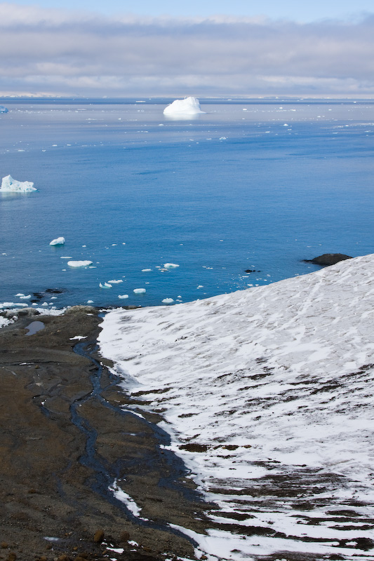 Icebergs In Bay